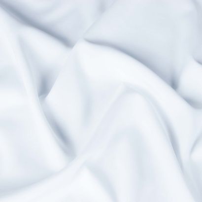 صورة قماش أيجل 161 من ترولايف